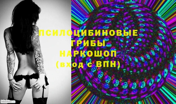наркотики Белокуриха